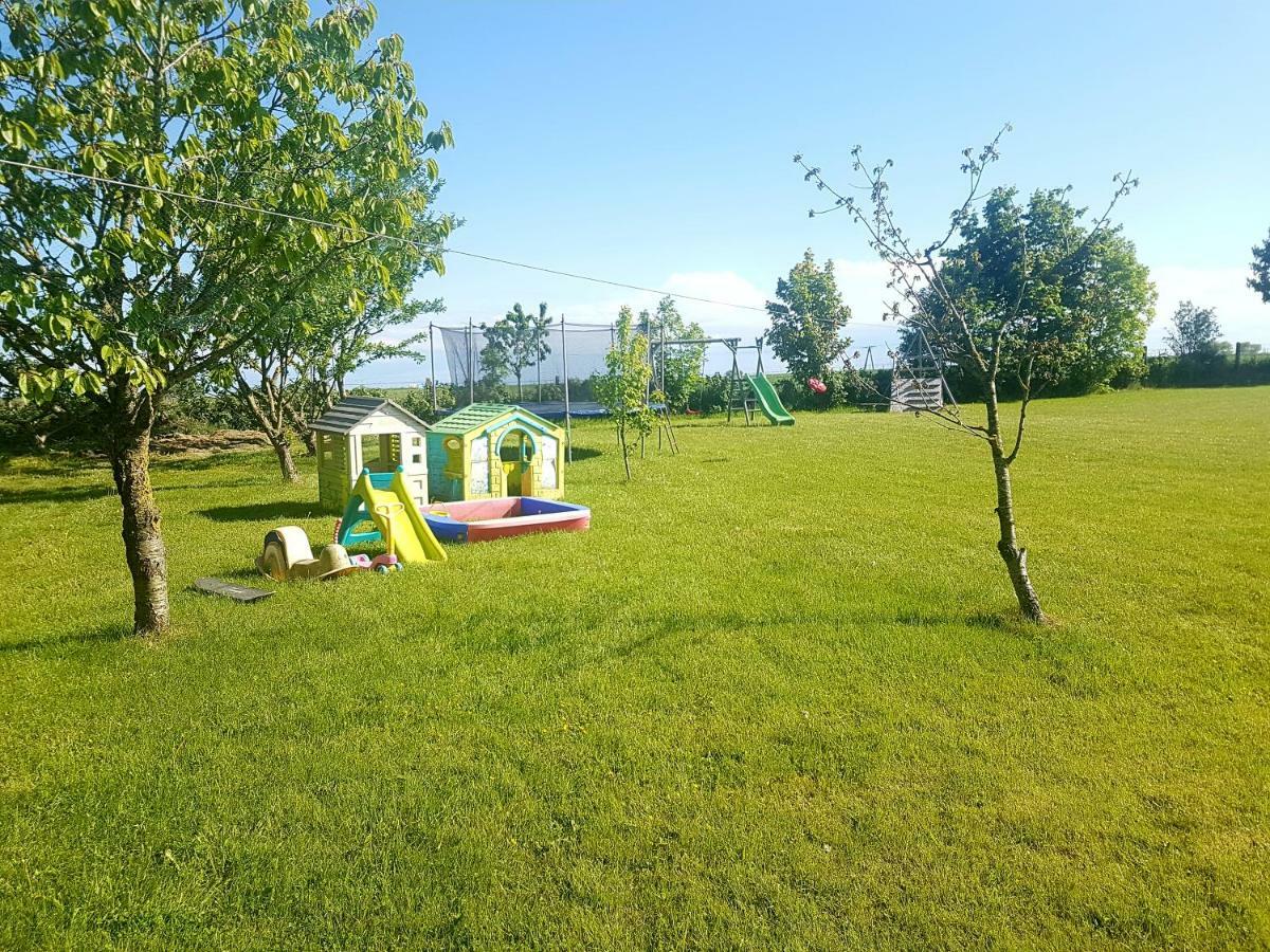 Noclegi Beata Dąbki Exterior photo